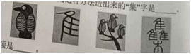 2015年江西教师招聘考试小学语文真题及答案解析